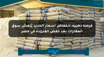 فرصة ذهبية: انخفاض أسعار الحديد يُنعش سوق العقارات بعد خفض الفائدة في مصر